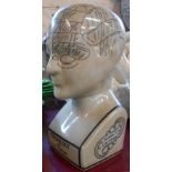 A reproduction ceramic phrenology head