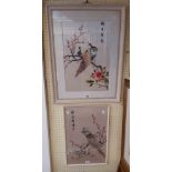 Two framed vintage Chinese silk embroidery pictures, both depicting perching peacocks