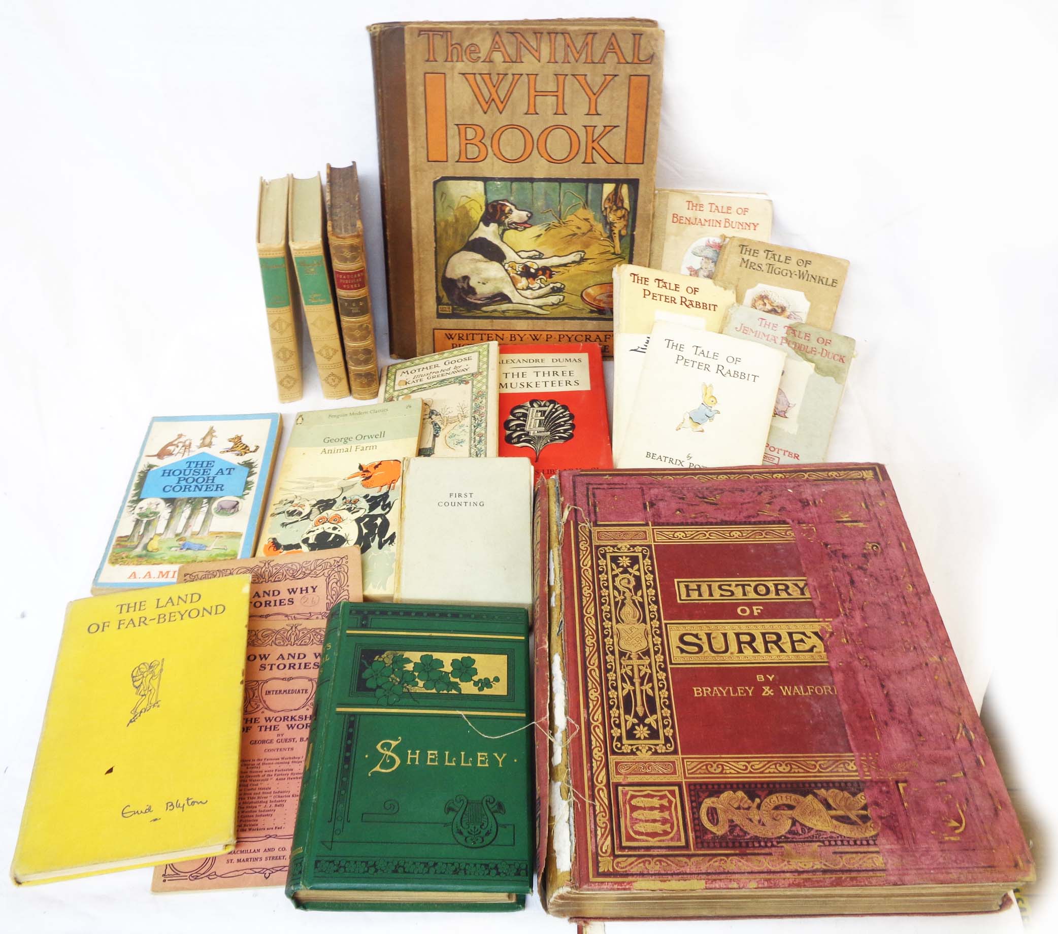 A selection of antiquarian and later books including The Animal Why Book by W.P. Wycraft with