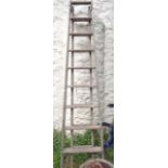 An old wooden orchard ladder