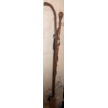 A walking stick carved with a serpent eating a lizard - sold with a silver collared stick and a