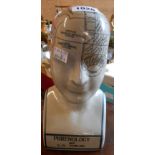 A reproduction ceramic phrenology head