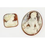 Two highly detailed shell cameo panels, one depicting a lady in period dress, the other a head and
