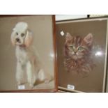 Lona Bradshaw: a framed pastel study of a tabby cat - sold with another pastel study of a named