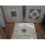 Three matching silvered framed coloured prints, depicting leaf studies within decorative borders