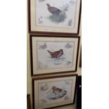 Nigel Hemming: Three matching framed coloured prints depicting birds