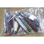 A bag containing ten vintage and antique penknives including small multi-tool example, horn and
