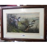 Archibald Thorburn: a framed coloured print of Mallard - signed in pencil to the margin - image 23.