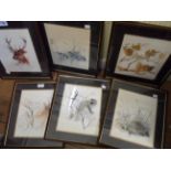 Six matching framed coloured prints, all animal studies
