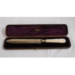 A cased silver cake knife with mother-of-pearl handle - Sheffield 1878