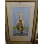 †C. Peeters: a gilt framed watercolour, depicting a running horse - signed and dated 2018 - 55cm X
