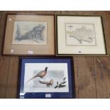 A framed late state Cary map print of Dorsetshire - sold with †P. Bird: a framed watercolour,