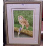 †C. Peeters: a framed watercolour study of an owl grasping a fish - signed and dated 2017