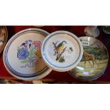 Six Portmeirion bird of Britain dinner plates and four side plates - sold with seven collectors'