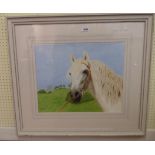 †C. Peeters: a framed watercolour study of a horse's head - signed and dated 2018 - 42.5cm X 53cm