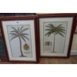 A pair of framed reproduction coloured print studies of palm trees with armorial crest and text