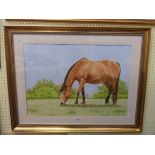 †C. Peeters: a gilt framed watercolour, depicting a horse grazing in a field - signed and dated 2016