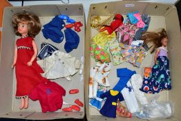 A COLLECTION OF VINTAGE PALITOY SINDY & PIPPA AND MATTEL BARBIE DOLLS, CLOTHES AND ACCESSORIES, to