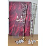 TWO TALL LIMITED EDITION ROYAL BRIERLEY CHAMPAGNE FLUTES, 'Shooting Stars' No 41/2000 and No 97/