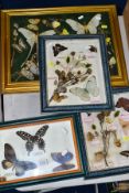 FOUR GLAZED DISPLAY CASES, containing various butterflies, moths and dried flowers, to include '