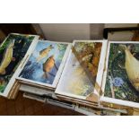 SEVERAL HUNDRED FISH RELATED PRINTS, comprising 'British Record Barbel', 'Duet' featuring carp