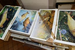 SEVERAL HUNDRED FISH RELATED PRINTS, comprising 'British Record Barbel', 'Duet' featuring carp