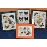 FOUR GLAZED DISPLAY CASES OF BUTTERFLIES, two cases with name labels, including Hypolimnas bolina,