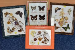 FOUR GLAZED DISPLAY CASES OF BUTTERFLIES, two cases with name labels, including Hypolimnas bolina,