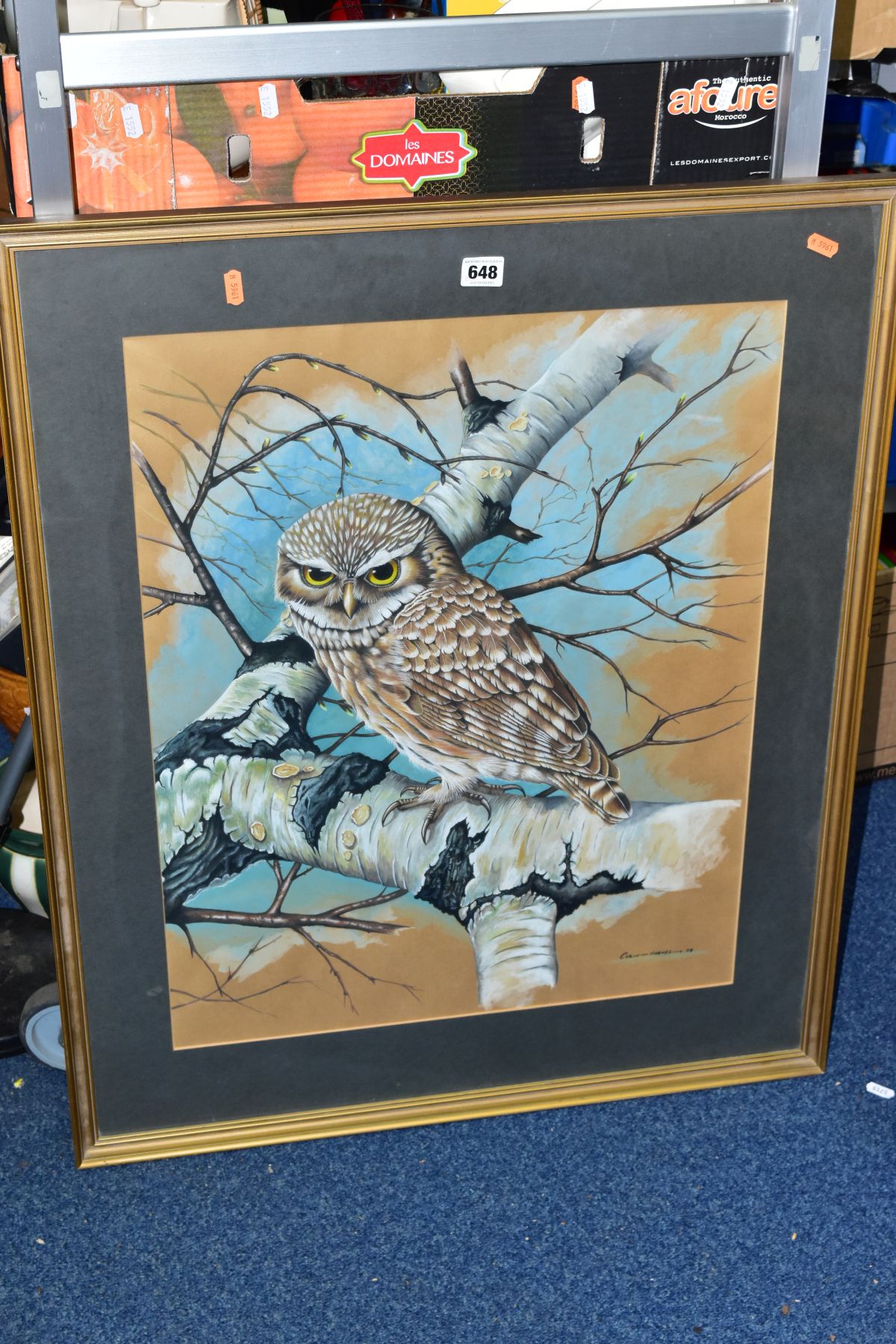 COLIN HUGHES (BRITSH 20TH CENTURY) 'LITTLE OWL', a portrait of a British little owl perched in a