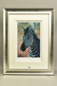 ROLF HARRIS (AUSTRALIAN 1930) 'YOUNG ZEBRA', a limited edition artist's proof print, 10/20, signed