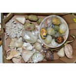 A BOX OF SEASHELLS, MARBLE AND TREEN EGGS, CARVED SOAPSTONE ANIMALS, etc, including cowrie shells, a