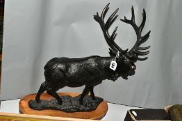 A CAST IRON FIGURE OF A STANDING STAG, mounted on an oval wooden plinth, height 47.5cm x length of
