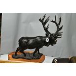 A CAST IRON FIGURE OF A STANDING STAG, mounted on an oval wooden plinth, height 47.5cm x length of