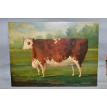 TOBIAS TOVEY (20TH CENTURY) 'PRIZE WINNING COW', a portrait of a brown cow painted in an 18th/19th