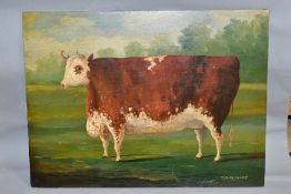 TOBIAS TOVEY (20TH CENTURY) 'PRIZE WINNING COW', a portrait of a brown cow painted in an 18th/19th