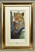 ROLF HARRIS (AUSTRALIA 1930) 'ALERT FOR PREY', a limited edition print of a leopard 39/195, signed