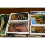 SEVERAL HUNDRED FISH RELATED PRINTS DEPICTING CARP, PIKE AND BARBEL, comprising 'Stalking The