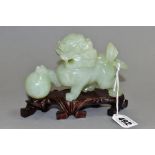 A CHINESE HARDSTONE TEMPLE DOG OF FO WITH PAW RESTING ON A BALL, height approximately 9cm,