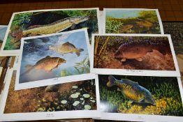 SEVERAL HUNDRED FISH RELATED PRINTS FEATURING CARP AND PIKE, comprising 'Basil', 'the Magic of Mary'