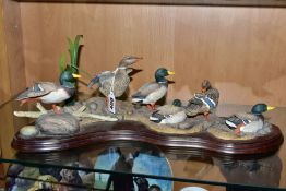 A LIMITED EDITION BORDER FINE ARTS SCULPTURE, 'Sunny Afternoon' (ducks) A1872, modelled by Richard