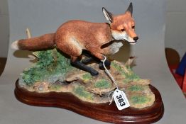 A LIMITED EDITION BORDER FINE ARTS SCULPTURE, 'Breaking Cover' (fox), B0839 modelled by Ray Ayres No