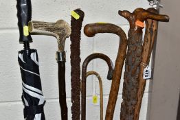 A BUNDLE OF SIX LATE VICTORIAN/20TH CENTURY WALKING STICKS/CANES, an umbrella and a teacher's