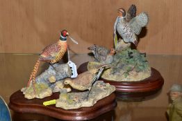 THREE BORDER FINE ARTS SCULPTURES, 'Cock Pheasant' R821 and 'Hen Pheasant and chicks' RB22, both