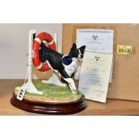 A BOXED LIMITED EDITION BORDER FINE ARTS CLASSIC SCULPTURE, 'Through the Hoop' (Border Collie)