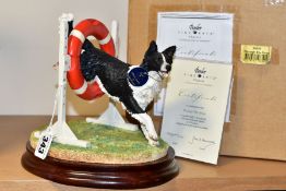 A BOXED LIMITED EDITION BORDER FINE ARTS CLASSIC SCULPTURE, 'Through the Hoop' (Border Collie)