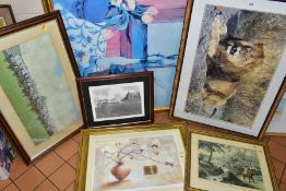 ASSORTED FRAMED PRINTS, to include Karl Brenders limited edition print of a Lion 'Kalahari',