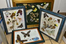 FOUR GLAZED DISPLAY CASES, containing various butterflies, moths and dried flowers, to include '