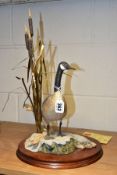 A LIMITED EDITION BORDER FINE ARTS SCULPTURE, 'Canada Goose' L47 modelled by Frank Falco (signed