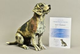 APRIL SHEPHERD (BRITISH CONTEMPORARY) 'PAYING ATTENTION' a limited edition sculpture of a dog 61/