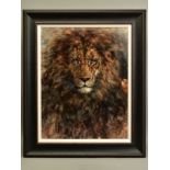 GARY BENFIELD (BRITISH 1965) 'DARK MAJESTY' a portrait of a Lion, signed bottom right, oil on